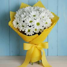 Букет цветов из:  Хризантемы в Большой Вишере