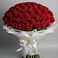 Букет 101 Красная роза Блэк Мэджик в Большой Вишере