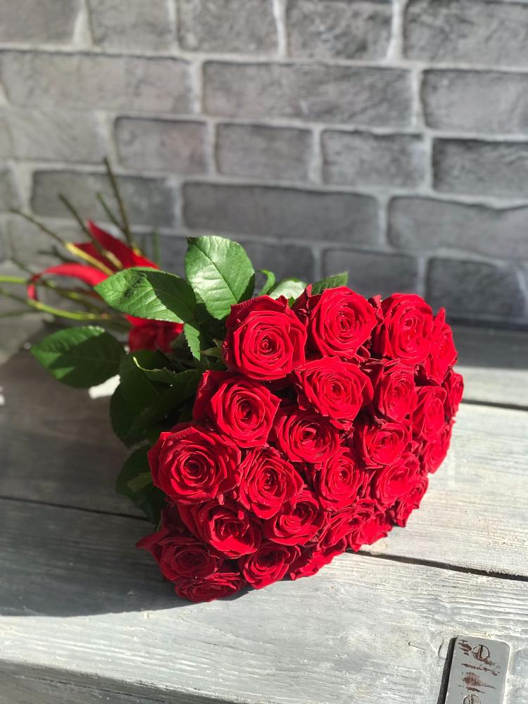 Букет Красные розы Фридом в Большой Вишере