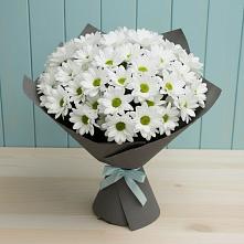 Букет цветов из:  Хризантемы в Большой Вишере