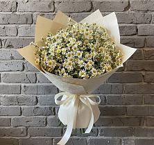 Букет цветов из:  Ромашки в Большой Вишере