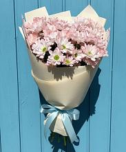 Букет цветов из:  Хризантемы в Большой Вишере