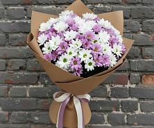 Букет цветов из:  Хризантемы в Большой Вишере