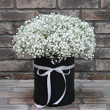 Цветочная композиция из Гипсофила в шляпной коробке в Большой Вишере