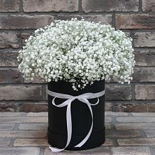 Цветочная композиция из Гипсофила в шляпной коробке в Большой Вишере