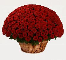 Премиум букет из: Розы в Большой Вишере